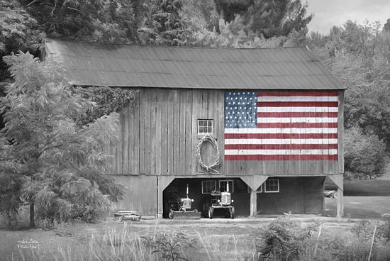 Lori Deiter LD774 - Patriotic Farm I - Patriotic, Barn, Black and White, Landscape from Penny Lane Publishing
