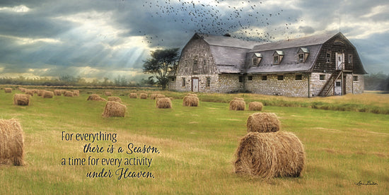 Lori Deiter LD782 - A Time to Reap - Haystacks, Religious, Farm, Barn, Birds, Inspirational from Penny Lane Publishing