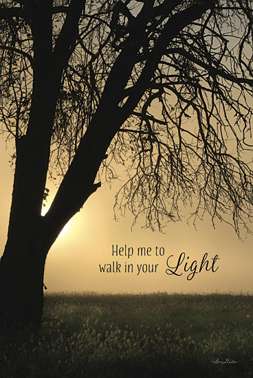 Lori Deiter LD851 - Help Me to Walk in Your Light - Path, Sun, Tree, Landscape, Inspirational, Photography from Penny Lane Publishing