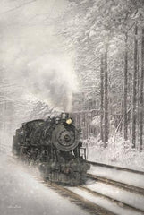 LD875GP - Snowy Locomotive