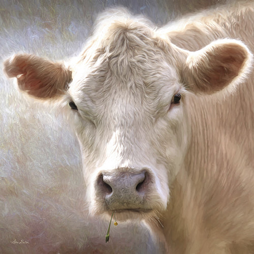 Lori Deiter LD879A - Up Close Cow - Cow, Animals, Photography, Farm Life from Penny Lane Publishing