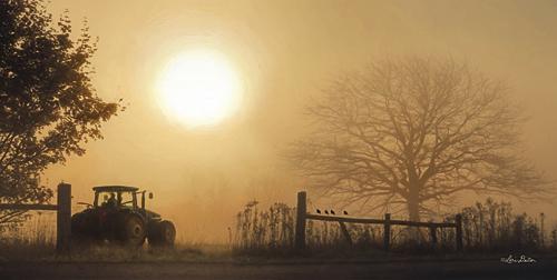 Lori Deiter LD896 - Start Your Engines - Farm, Tractor, Tree, Inspirational, Photography, Sign, Farm Life, Landscape from Penny Lane Publishing