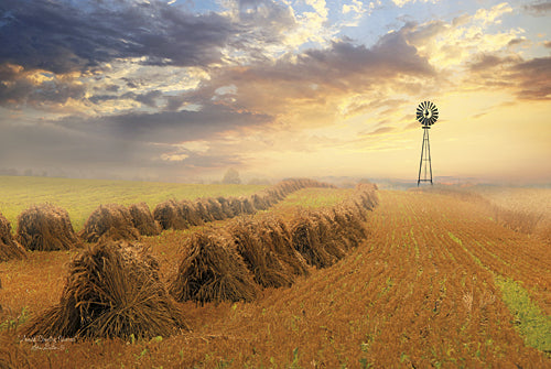 Lori Deiter LD973 - Amish Country Sunrise - Farm, Haystacks, Windmill, Country from Penny Lane Publishing