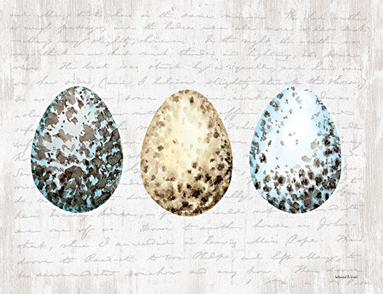 lettered & lined LET106 - LET106 - Speckled Eggs - 18x12 Speckled Eggs, Eggs, Bird's Eggs, Spring, Seasons from Penny Lane