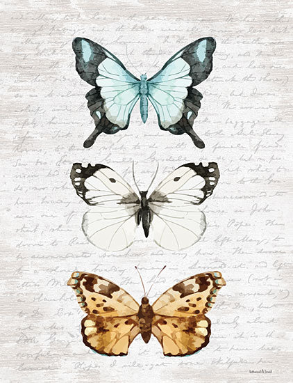 lettered & lined LET107 - LET107 - Butterfly Trio - 12x16 Butterflies, Decorative from Penny Lane