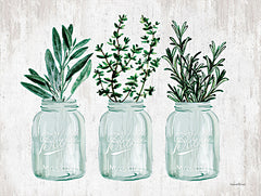 LET337 - Herb Trio - 16x12