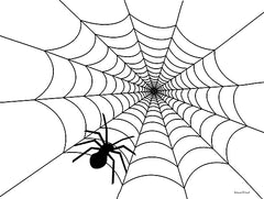 LET452 - Spider Web I - 16x12