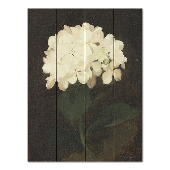 lettered & lined LET489PAL - LET489PAL - Vintage White Hydrangea - 12x16 Vintage White Hydrangea, Flowers, White Hydrangea, Black Background from Penny Lane