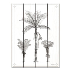 LET555PAL - Palm Trio - 12x16