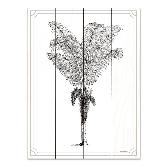 lettered & lined LET557PAL - LET557PAL - Timeless Palm - 12x16 Palm Trees, Tropical, Coastal, Sketch from Penny Lane