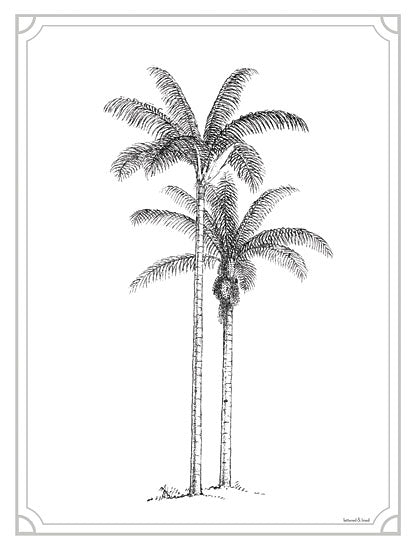lettered & lined LET558 - LET558 - Timeless Palms - 12x16 Palm Trees, Tropical, Coastal, Sketch from Penny Lane