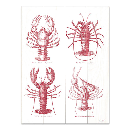 lettered & lined LET565PAL - LET565PAL - Lobsters - 12x16 Lobsters, Different Types of Lobsters, Coastal, Red & White, Aquatic Animals from Penny Lane