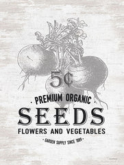 LET601 - Seeds - 12x16