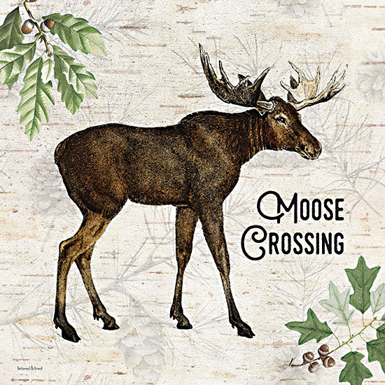 lettered & lined LET613 - LET613 - Moose Crossing - 12x12 Moose Crossing, Moose, Lodge, Leaves, Acorns, Animals, Masculine, Typography, Signs from Penny Lane
