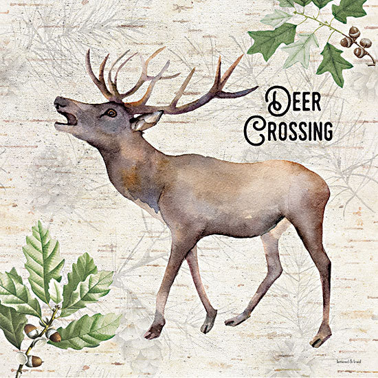 lettered & lined LET614 - LET614 - Deer Crossing - 12x12 Deer Crossing, Deer, Lodge, Leaves, Acorns, Animals, Masculine, Typography, Signs from Penny Lane