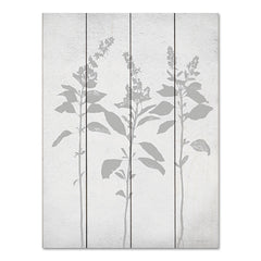 LET661PAL - Retreat Botanical 7 - 12x16