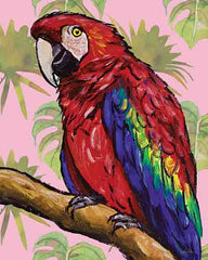 LK263 - Tropical Macaw - 12x16