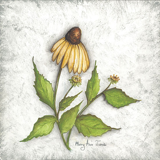 Mary Ann June MARY546 - MARY546 - Bloomin' Coneflowers - 12x12 Flowers, Coneflowers, Yellow Flowers, Triptych from Penny Lane