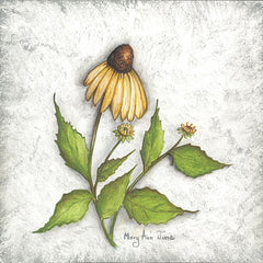MARY546 - Bloomin' Coneflowers - 12x12