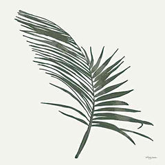 MAT156 - Tropical Areca Palm - 12x12