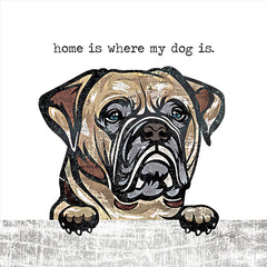MAZ5637 - Home is Where My Dog Is   - 12x12