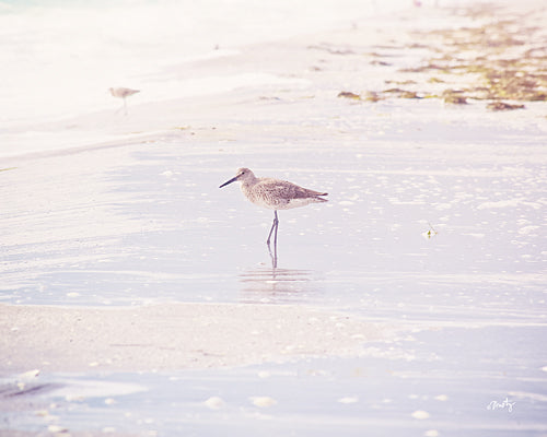 Misty Michelle MMD176 - Wading Bird            - Bird, Ocean, Beach Landscape from Penny Lane Publishing