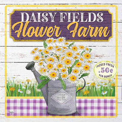 MOL2013 - Daisy Fields Flower Farm - 0