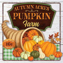 MOL2016 - Autumn Acres Pumpkin Farm - 0