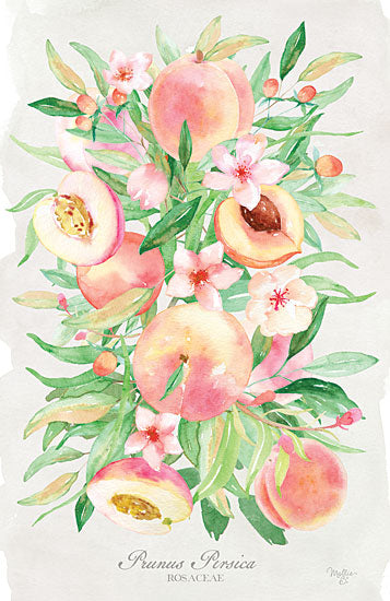 Mollie B. MOL2137 - MOL2137 - Peach Bouquet - 12x18 Peach Bouquet, Peaches, Fruit, Kitchen from Penny Lane