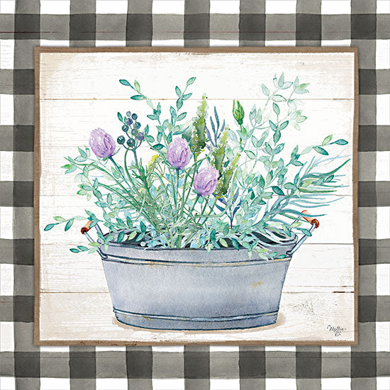 Mollie B. MOL2144 - MOL2144 - Potted Herbs I   - 12x12 Herbs, Potted Herbs, Farmhouse/Country, Galvanized Pail, Framed, Square, Plaid, Patterns from Penny Lane
