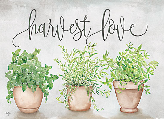 Mollie B. MOL2471 - MOL2471 - Harvest Love - 16x12 Still Life, Greenery, Terra Cotta Pots, Cottage/Country, Plants, Potted Plants, Harvest Love, Typography, Signs from Penny Lane