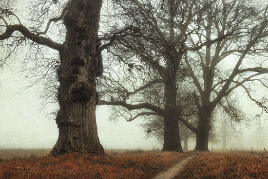 Martin Podt MPP144 - Misty Trees - Trees, Mist, Landscape from Penny Lane Publishing