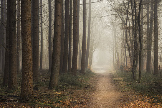 Martin Podt MPP175 - Quiet - Path, Trees, Forest, Landscape from Penny Lane Publishing