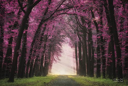 Martin Podt MPP244A - Pretty in Pink - Tree, Path, Purple, Landscape, Nature, Photography, Trees from Penny Lane Publishing