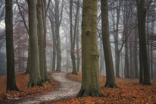 Martin Podt MPP273 - Autumn Path - Tree, Path, Trees, Landscape, Nature, Photography from Penny Lane Publishing