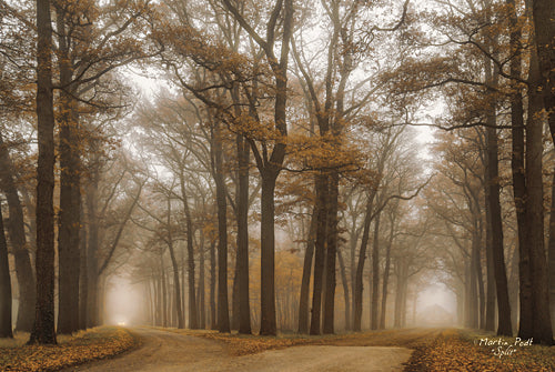 Martin Podt MPP282 - Split - Trees, Landscape from Penny Lane Publishing