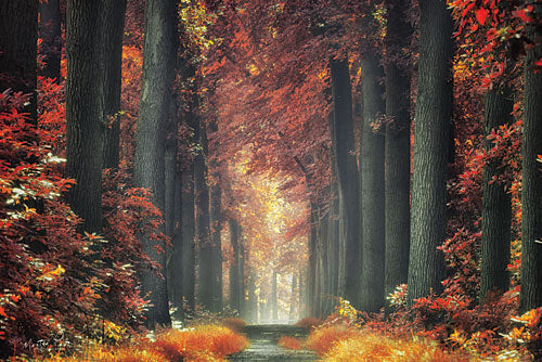 Martin Podt MPP331 - Color Me Red - Autumn, Trees, Path, Forest from Penny Lane Publishing