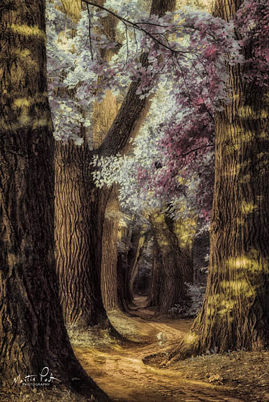 Martin Podt MPP343 - Fluffy Road - Trees, Path, Leaves from Penny Lane Publishing