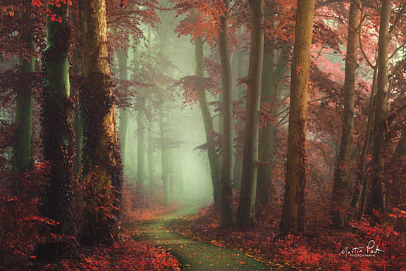Martin Podt MPP359 - Red Floor Forest - Trees, Red, Forest, Path from Penny Lane Publishing