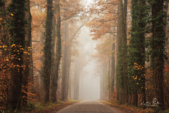 Martin Podt MPP519 - MPP519 - Foggy Autumn Road   - 18x12 Photography, Trees, Sunlight, Nature, Leaves, Forest, Road, Path from Penny Lane