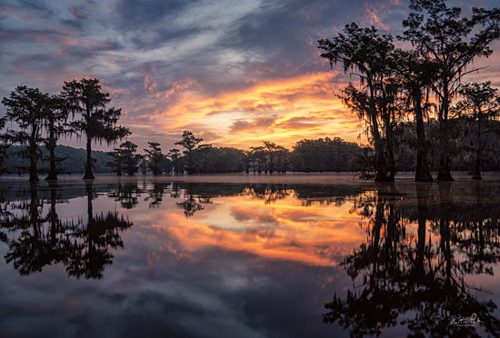 Martin Podt MPP605 - MPP605 - Sunrise in the Swamps - 18x12 Photography, Trees, Lake, Sunset, Swamp from Penny Lane