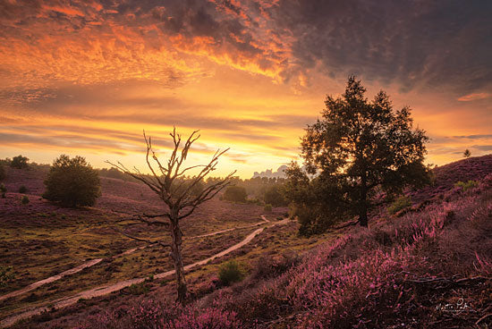 Martin Podt MPP618 - MPP618 - Dead Tree at Sunset - 18x12 Photography, Trees, Dirt Path, Flowers, Sunset, Landscape from Penny Lane