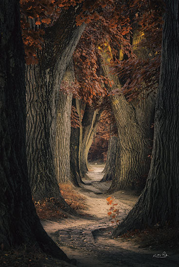 Martin Podt MPP623 - MPP623 - Same Old Path - 12x18 Trees, Path, Autumn, Leaves, Photography from Penny Lane