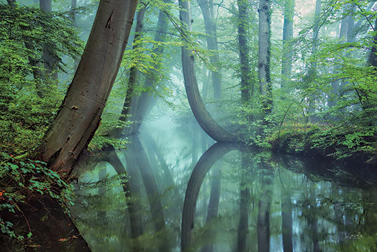 Martin Podt MPP676 - MPP676 - Moody Reflections - 18x12 Trees, River, Blue Green, Photography, Reflections from Penny Lane