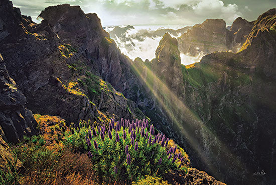 Martin Podt MPP680 - MPP680 - The View - 18x12 Mountains, Flowers, Nature, Photography, Landscape from Penny Lane