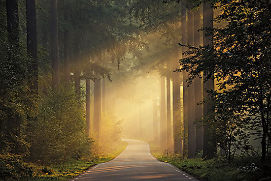 Martin Podt MPP745 - MPP745 - Late Summer Morning - 18x12 Photography, Forest, Trees, Sunlight, Road, Path, Landscape, Nature, Late Summer Morning from Penny Lane