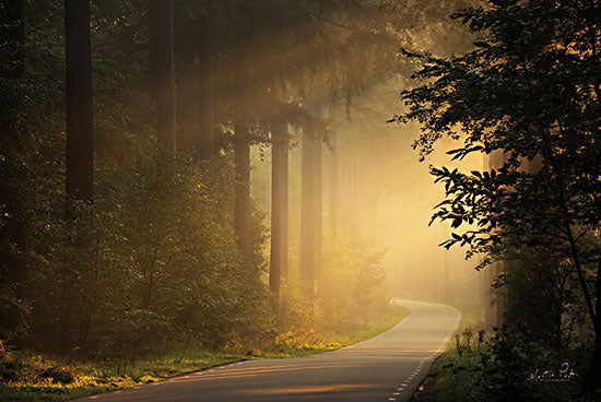 Martin Podt MPP746 - MPP746 - Different View - 18x12 Landscape, Trees, Photography, Road, Sunlight, Different View, Nature from Penny Lane