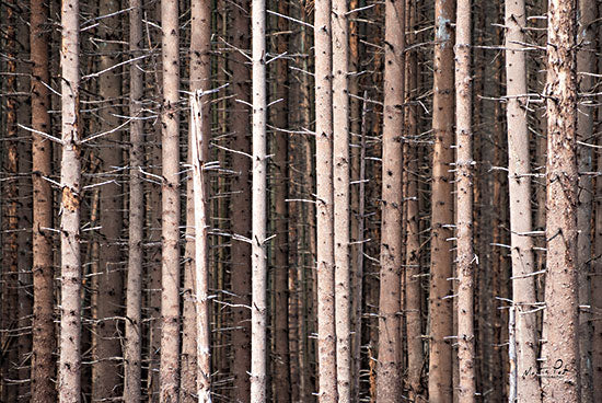 Martin Podt MPP749 - MPP749 - Prickly - 18x12 Landscape, Trees, Photography, Prickly from Penny Lane