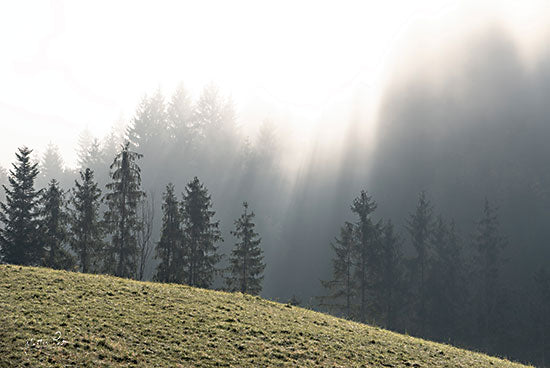 Martin Podt MPP753 - MPP753 - Mountain Glory - 18x12 Mountains, Trees, Fog, Nature, Photography from Penny Lane