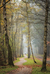 MPP758 - Biking Thru Autumn - 12x18